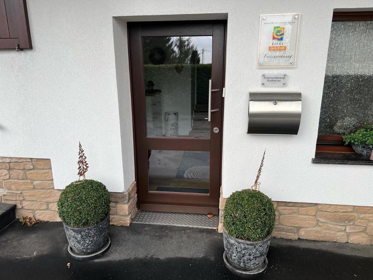 Ferienwohnung Katharina 4 Sterne Laut Dtv Wallbox 11Kw Нідеґґен Екстер'єр фото